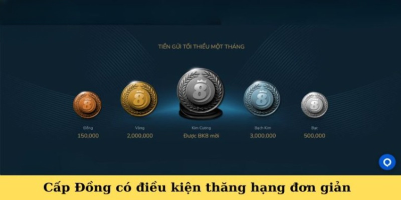 Chương trình thành viên Vip BK8