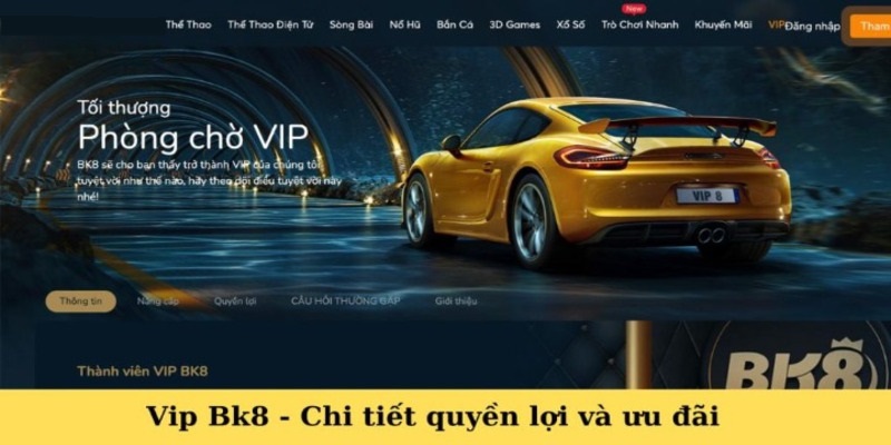 Tại sao nên tham gia chương trình VIP BK8?