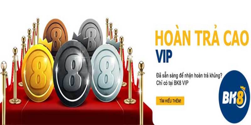Thành viên Vip sẽ được hưởng những quyền lợi gì?